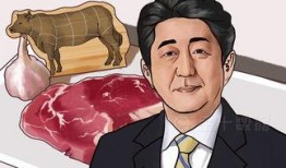 日本爆料美国最新,日本曝光美国最新动态，科技与政治的博弈再升级！