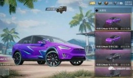 s13吃鸡皮肤爆料最新,揭秘全新视觉盛宴