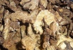 白术爆料最新,揭秘娱乐圈幕后真相，明星隐私大曝光！