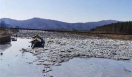 伊春鹿鸣矿最新爆料,揭秘矿难背后惊人真相