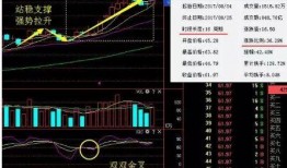 次新股最新爆料,潜力股盘点与投资策略解析