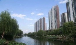 滕州小清河最新爆料,揭秘水质改善与生态修复新进展