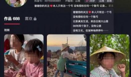 承德抖音爆料事件最新情况,真相渐明，网络舆论影响下的调查进展