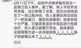 岳西最新爆料事件,揭秘事件背后惊人真相