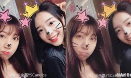 骆歆最新爆料新闻报道,揭秘娱乐圈惊人内幕