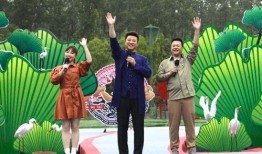 淄博蹴鞠爆料事件视频最新,真相与争议交织的足球风云