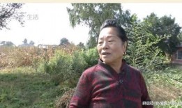 龙华李大爷最新爆料事件,揭开事件背后惊人真相