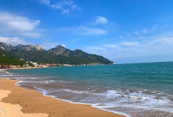 青岛海边爆料最新消息,惊现神秘海生物引发热议